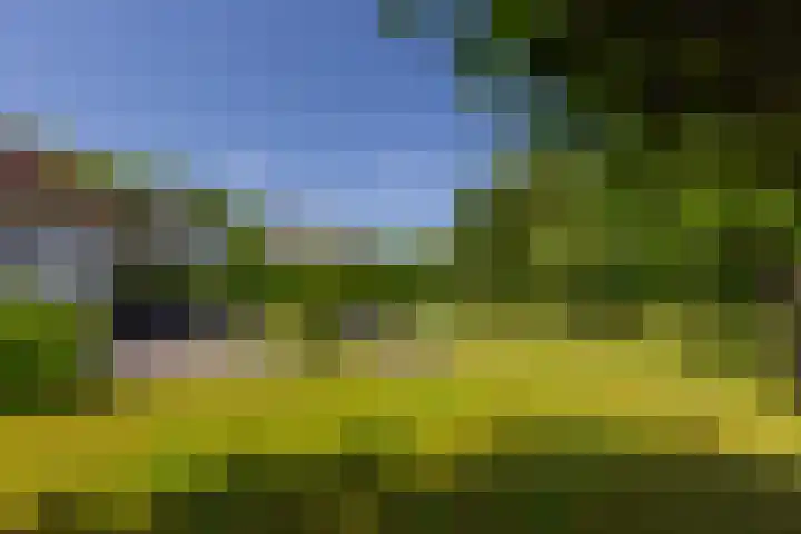 Klein Wolfslaar 18 B Bavel thumbnail 54