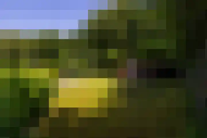 Klein Wolfslaar 18 B Bavel thumbnail 55