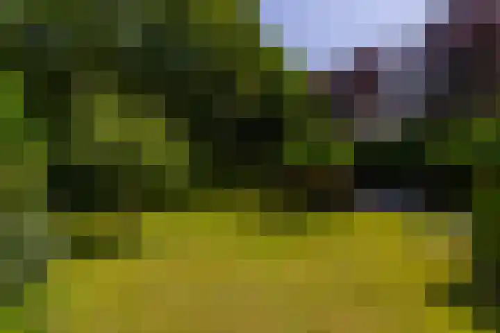 Klein Wolfslaar 18 B Bavel thumbnail 57