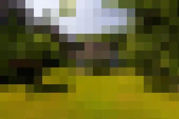 Klein Wolfslaar 18 B Bavel thumbnail 58