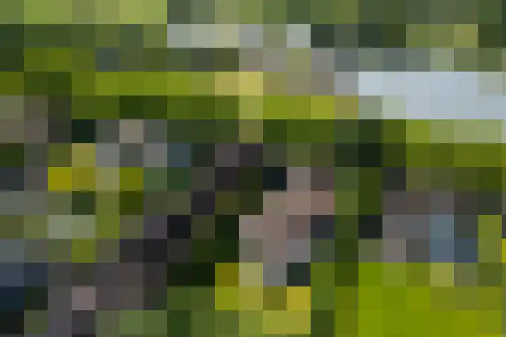 Klein Wolfslaar 18 B Bavel thumbnail 59