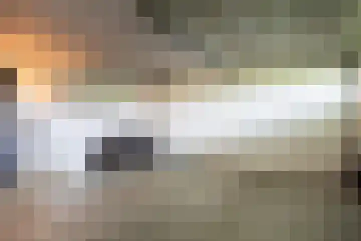 Klein Wolfslaar 18 B Bavel thumbnail 6