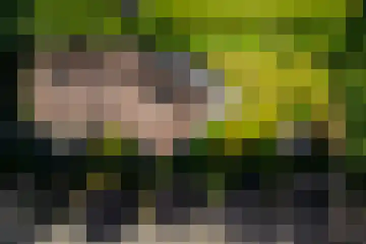 Klein Wolfslaar 18 B Bavel thumbnail 60