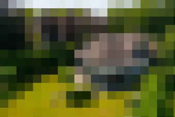Klein Wolfslaar 18 B Bavel thumbnail 61