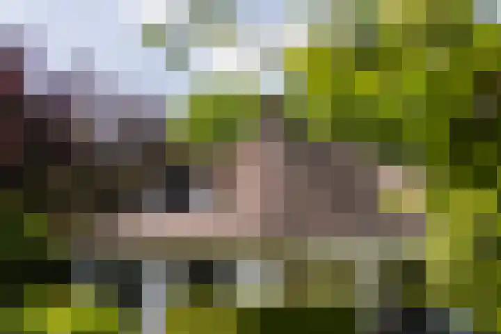 Klein Wolfslaar 18 B Bavel thumbnail 9