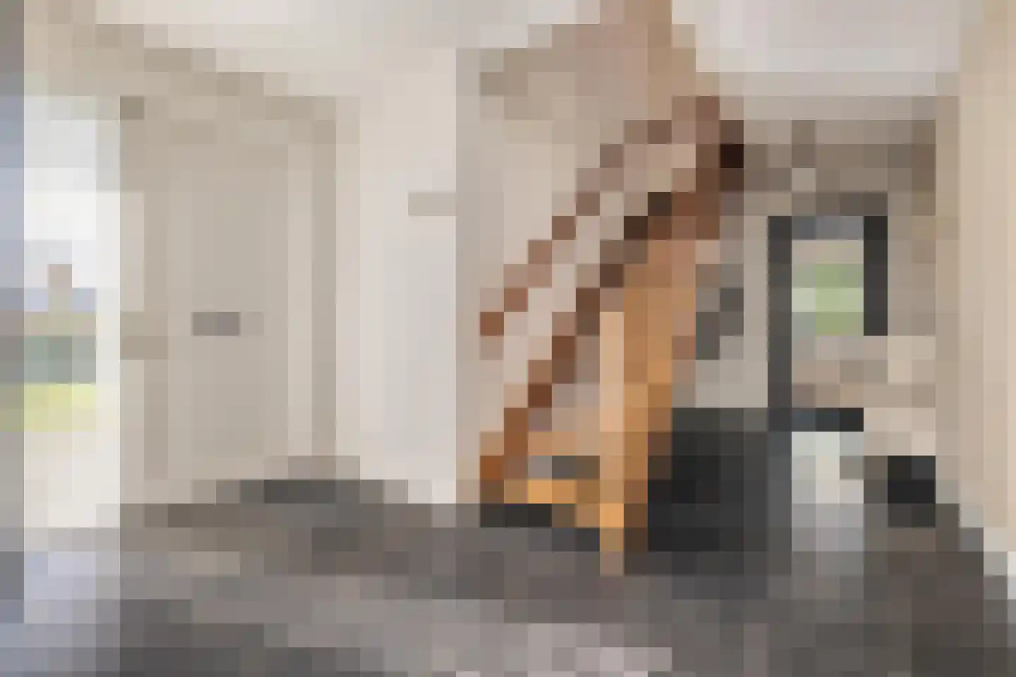 Klein Wolfslaar 20 C Bavel thumbnail 15