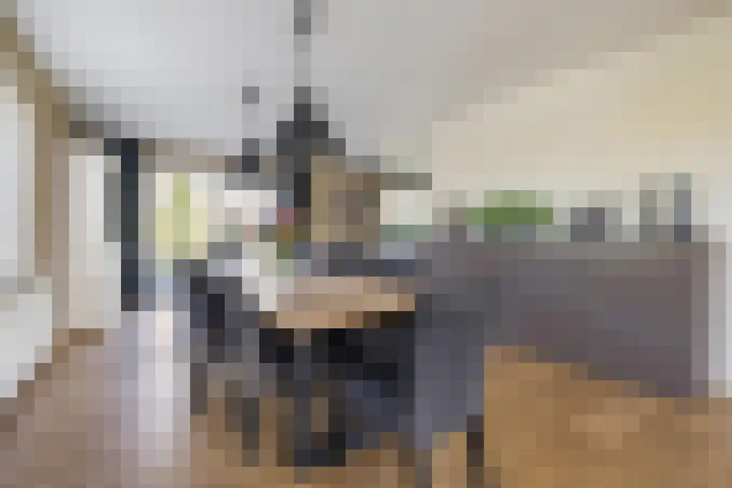 Klein Wolfslaar 20 C Bavel thumbnail 34