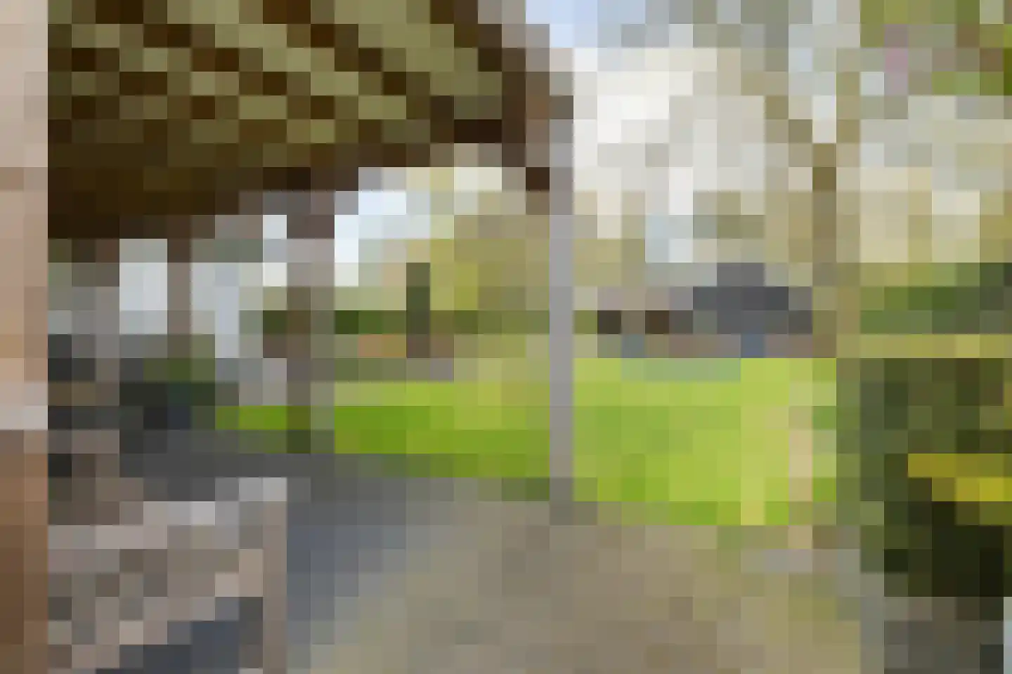 Klein Wolfslaar 20 C Bavel thumbnail 88