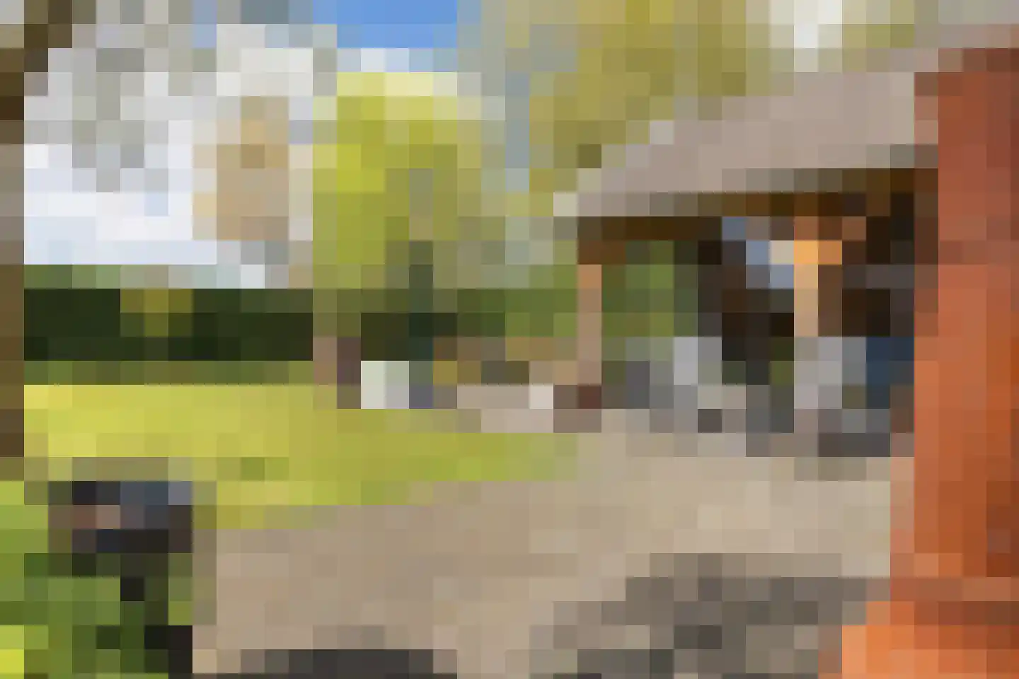 Klein Wolfslaar 20 C Bavel thumbnail 92