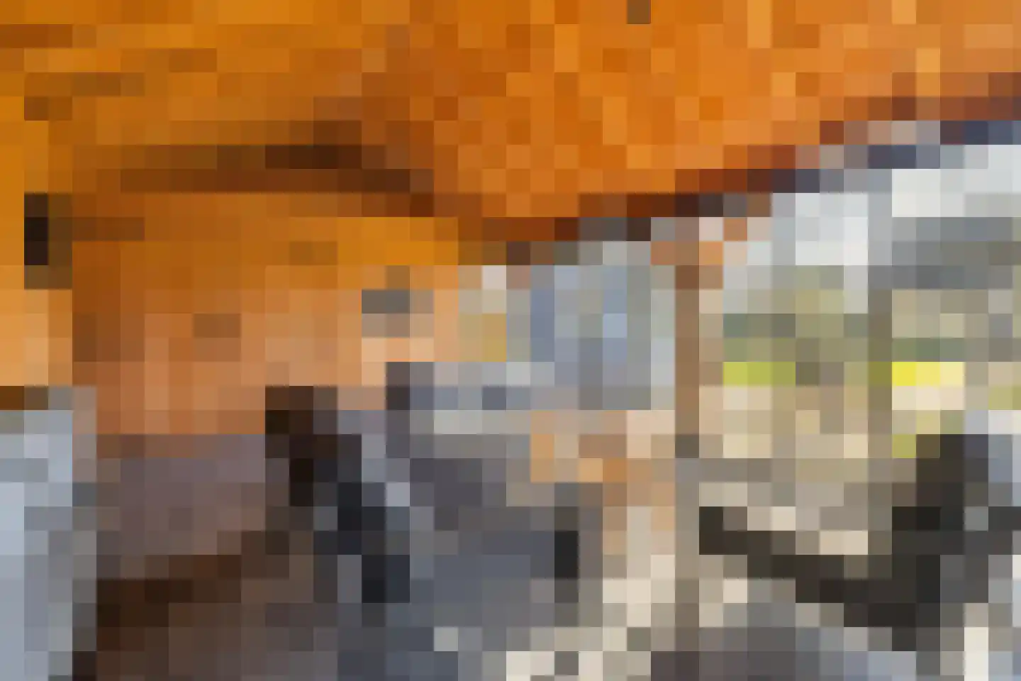 Klein Wolfslaar 20 C Bavel thumbnail 93