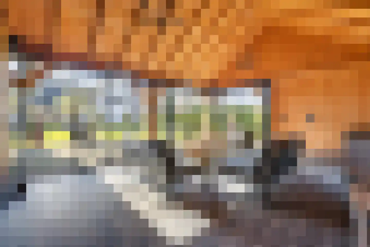 Klein Wolfslaar 20 C Bavel thumbnail 94