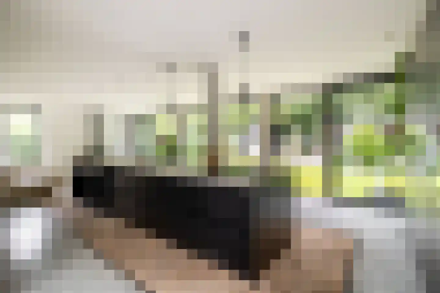 Klein Wolfslaar 20 D Bavel thumbnail 10