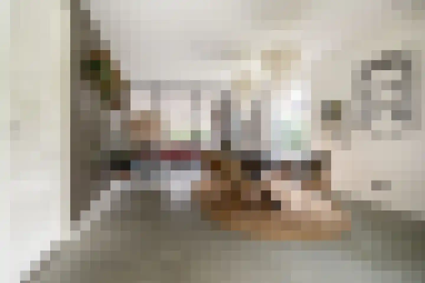 Klein Wolfslaar 20 D Bavel thumbnail 13