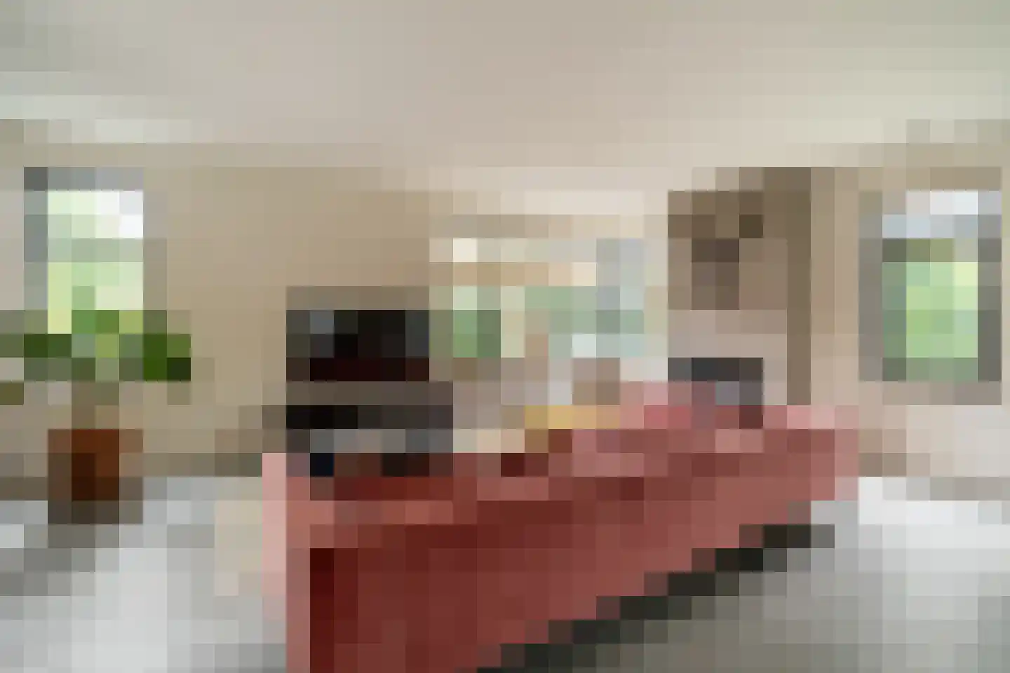 Klein Wolfslaar 20 D Bavel thumbnail 15