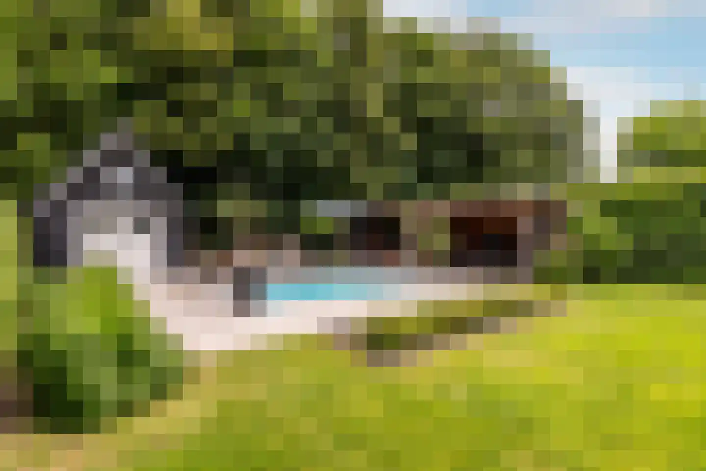 Klein Wolfslaar 20 D Bavel thumbnail 35