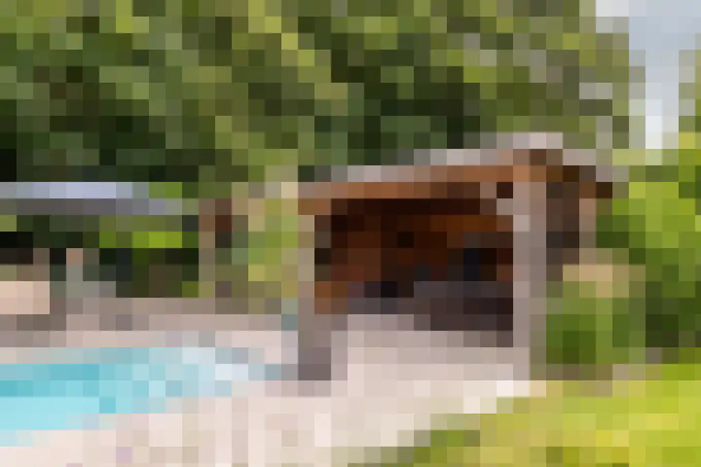 Klein Wolfslaar 20 D Bavel thumbnail 36