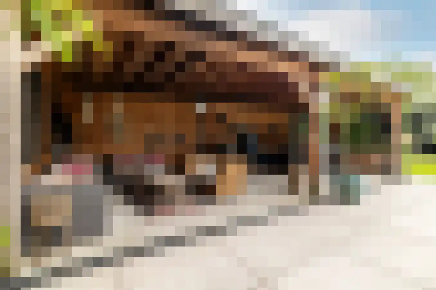 Klein Wolfslaar 20 D Bavel thumbnail 37