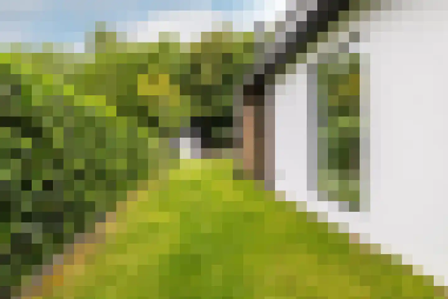 Klein Wolfslaar 20 D Bavel thumbnail 45