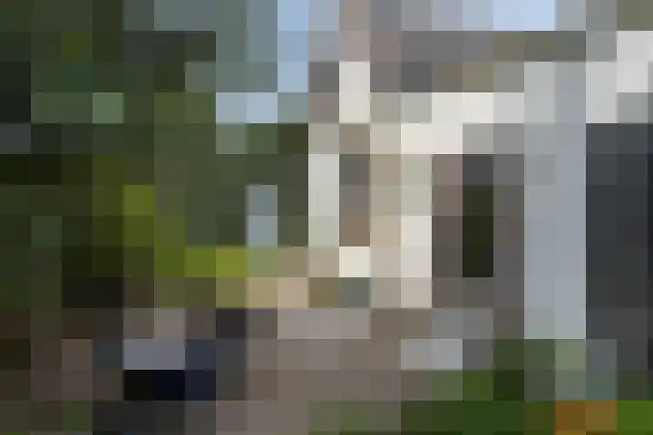 Klein Zuidbeijerlandseweg 2 Zuid-Beijerland thumbnail 22