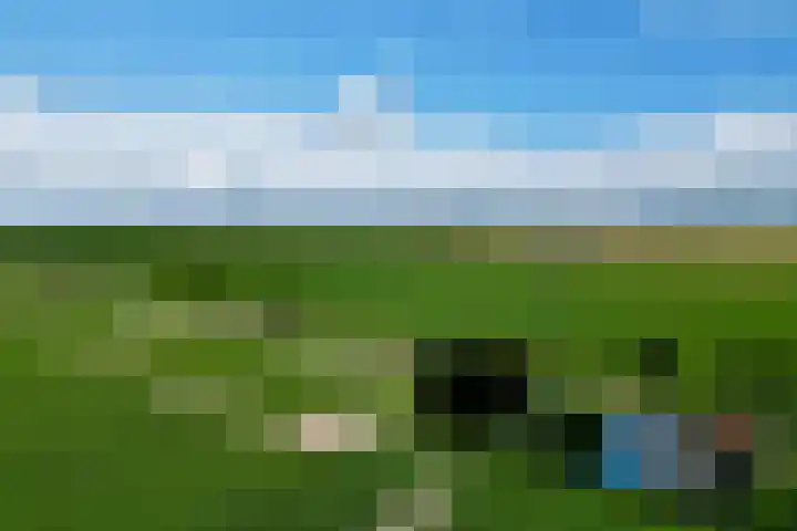 Klein Zuidbeijerlandseweg 2 Zuid-Beijerland thumbnail 29