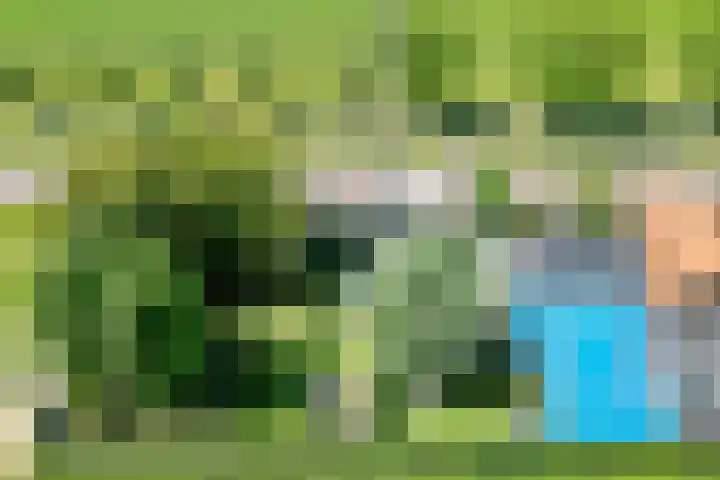 Klein Zuidbeijerlandseweg 2 Zuid-Beijerland thumbnail 30