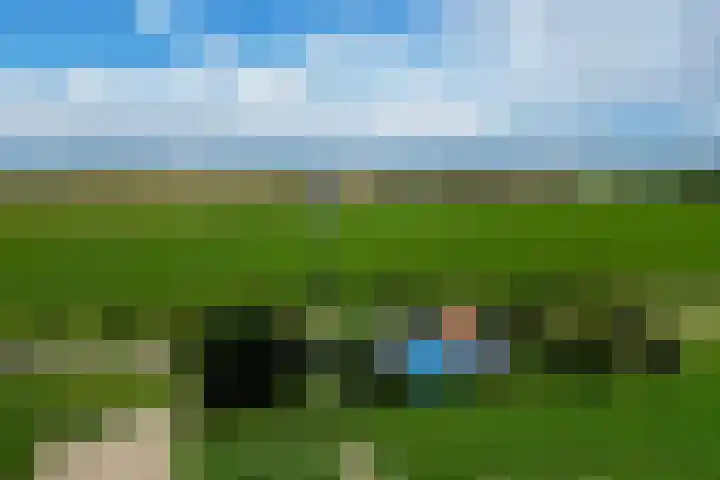 Klein Zuidbeijerlandseweg 2 Zuid-Beijerland thumbnail 31