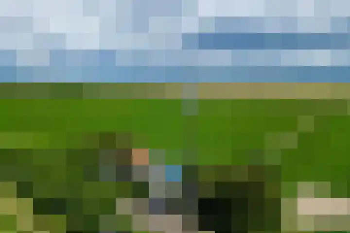 Klein Zuidbeijerlandseweg 2 Zuid-Beijerland thumbnail 32