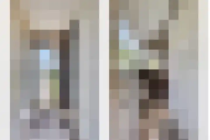 Klein Zuidbeijerlandseweg 2 Zuid-Beijerland thumbnail 6