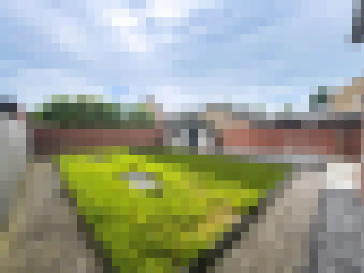 Klein Zundertseweg 27 Klein Zundert thumbnail 27