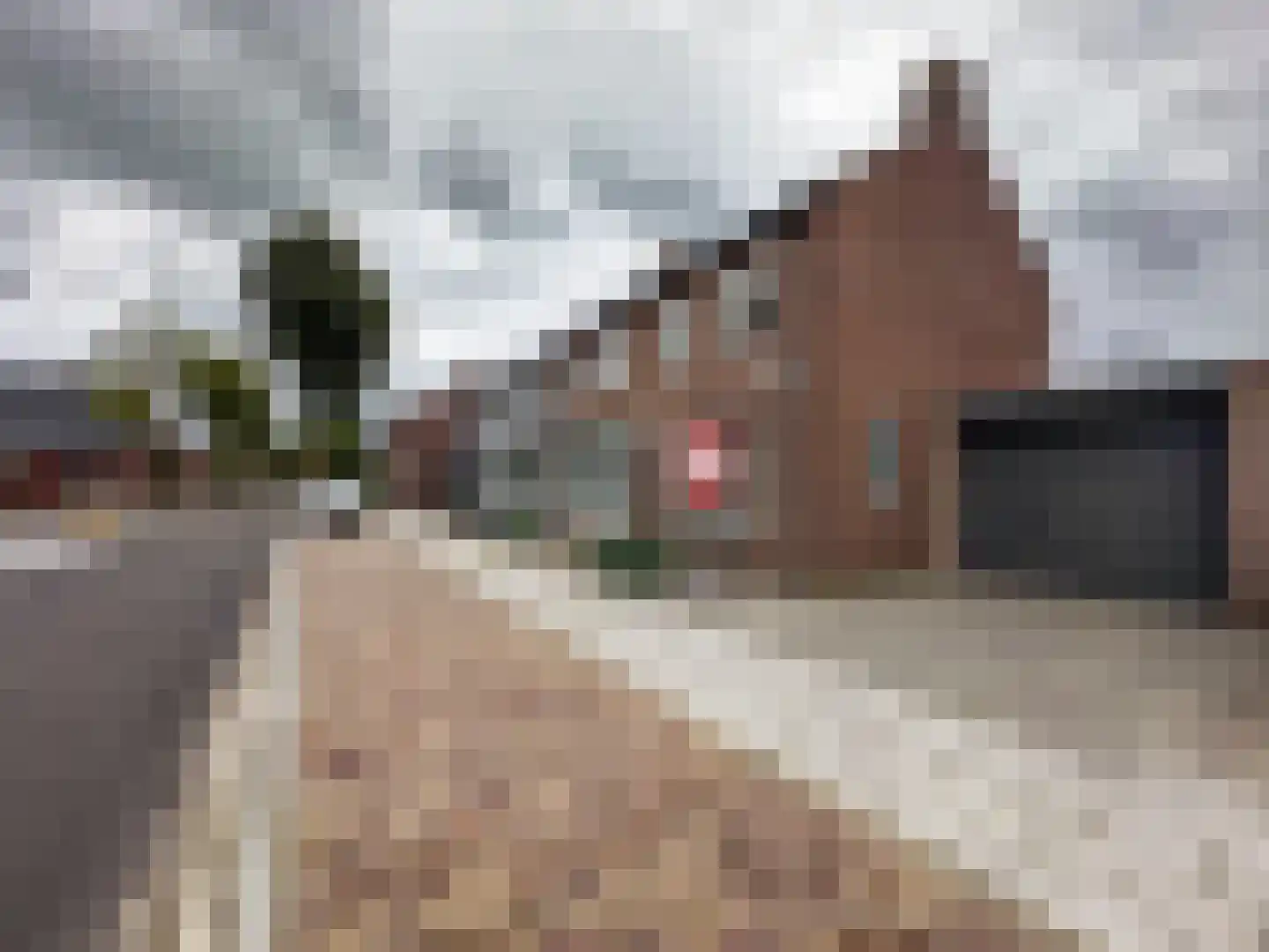 Klein Zundertseweg 27 Klein Zundert thumbnail 32