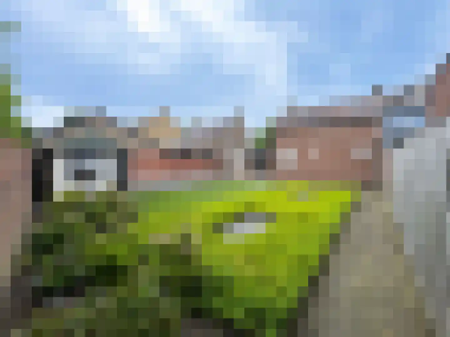 Klein Zundertseweg 27 Klein Zundert thumbnail 5
