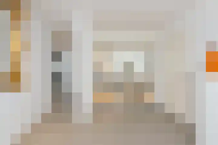 Kleindam 6 Schoorl thumbnail 18
