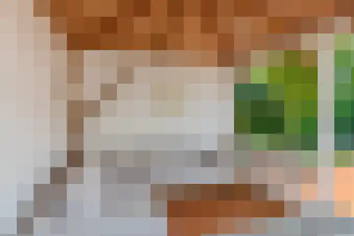 Kleindam 6 Schoorl thumbnail 21