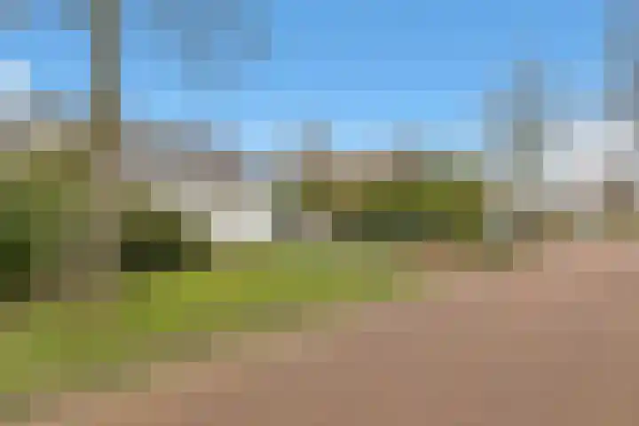 Kleindam 6 Schoorl thumbnail 23