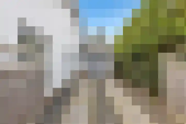 Kleindam 6 Schoorl thumbnail 24