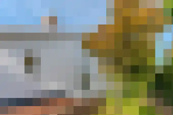 Kleindam 6 Schoorl thumbnail 25