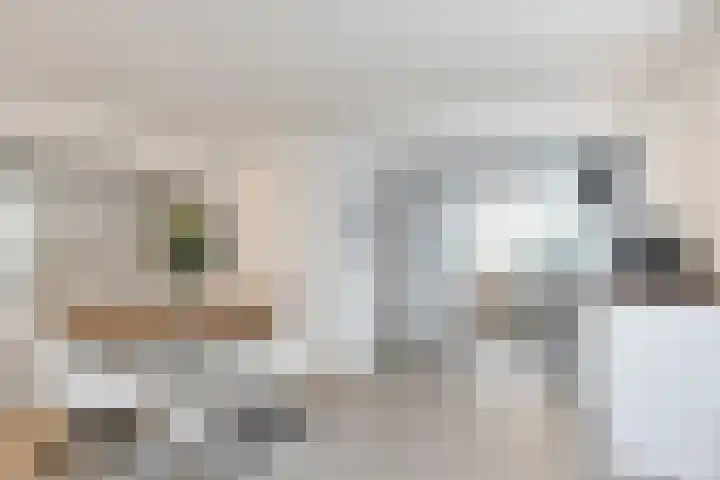 Kleindam 6 Schoorl thumbnail 4