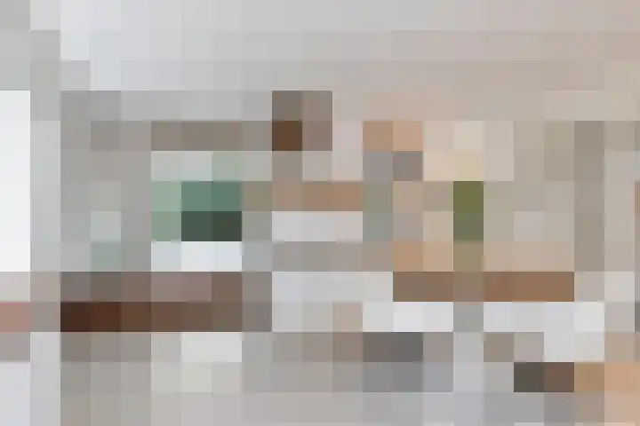 Kleindam 6 Schoorl thumbnail 6