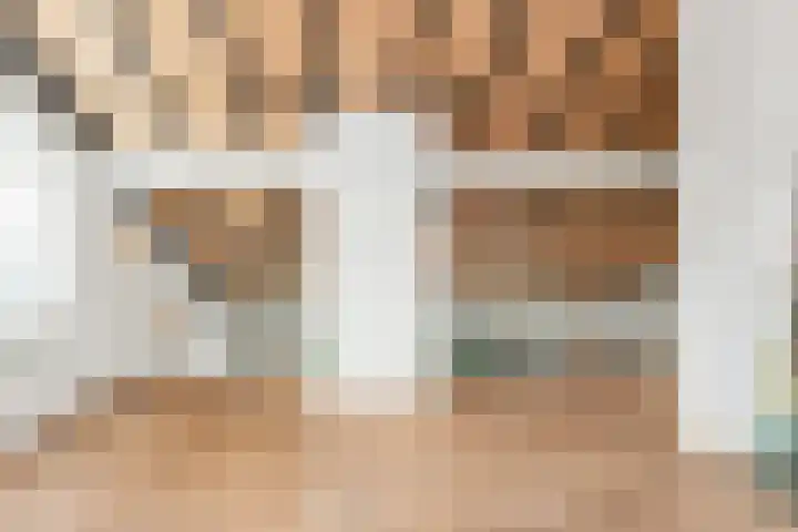 Kleindam 6 Schoorl thumbnail 9