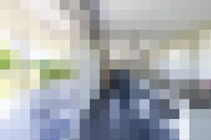 Kleindorpseweg 16 Wehl thumbnail 14