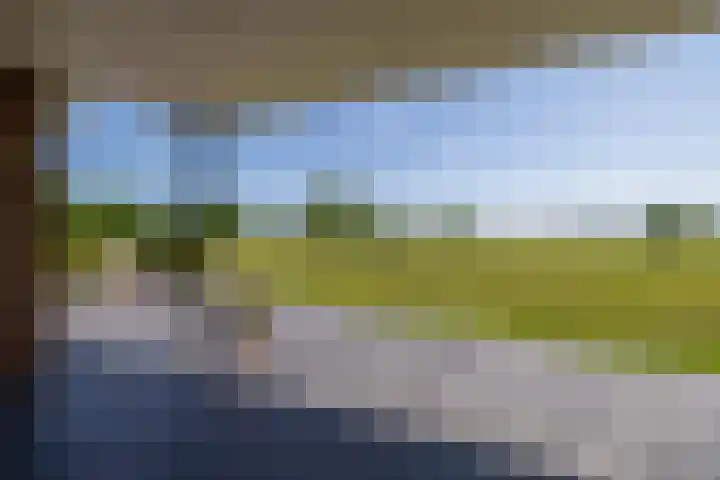 Kleindorpseweg 16 Wehl thumbnail 16