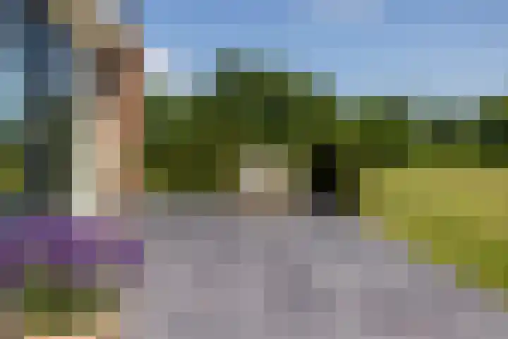 Kleindorpseweg 16 Wehl thumbnail 18