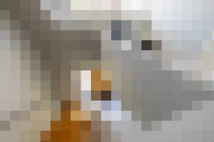 Kleindorpseweg 16 Wehl thumbnail 60