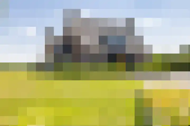 Kleindorpseweg 16 Wehl thumbnail 65