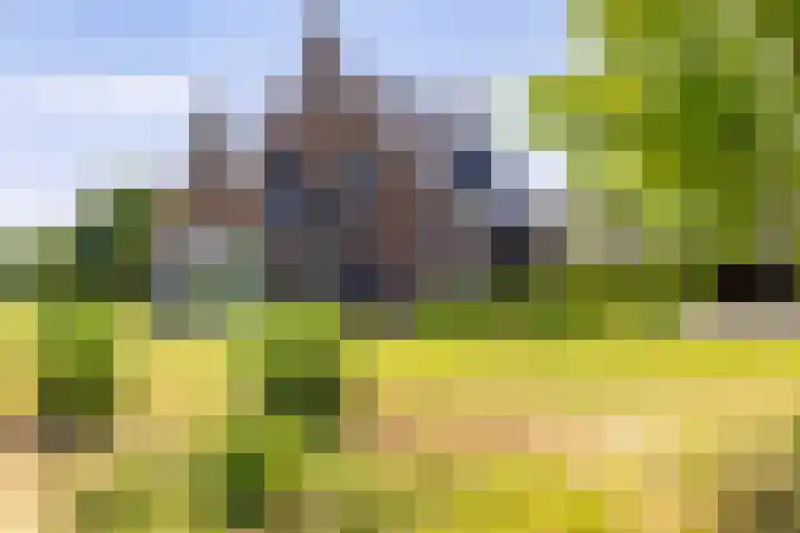 Kleindorpseweg 16 Wehl thumbnail 66