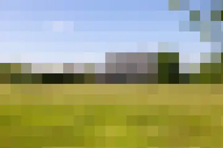 Kleindorpseweg 16 Wehl thumbnail 69