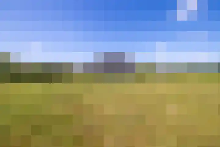 Kleindorpseweg 16 Wehl thumbnail 70