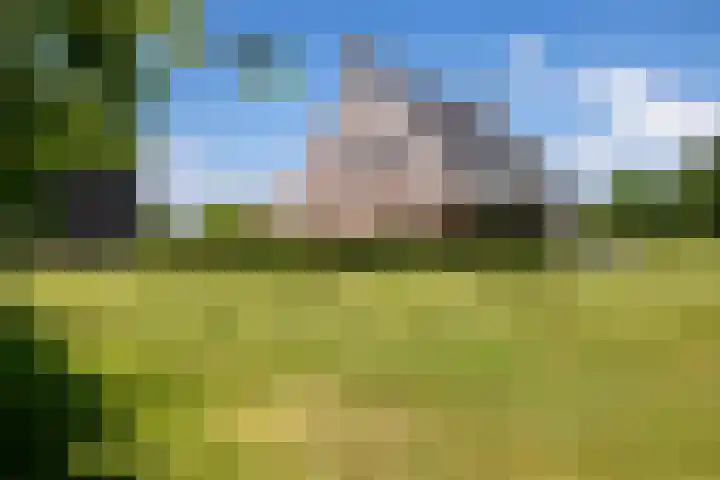 Kleindorpseweg 16 Wehl thumbnail 74