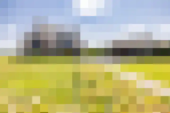 Kleindorpseweg 16 Wehl thumbnail 76