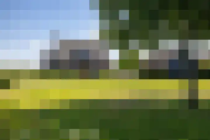 Kleindorpseweg 16 Wehl thumbnail 80